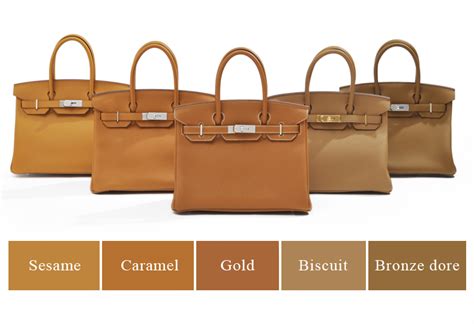 hermes sesame vs gold|hermes exotic colors.